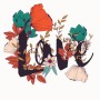 Impresión DTF por Metros en España | Personalización Wephone