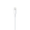 Auriculares USB-C Samsung Tuned by AKG EO-IC100 | Negro