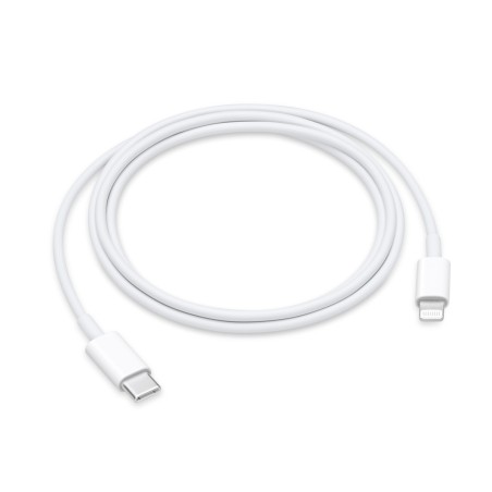 Cable USB-C a Lightning 2m Apple MW2R3ZM/A Blanco