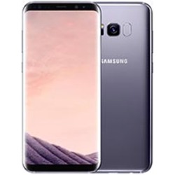 Mayorista de accesorios para móviles Samsung S8 PLUS / G955, ipad y Tablets